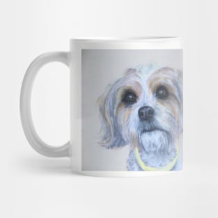 Biewer Terrier Mug